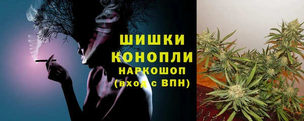 МДПВ Новозыбков