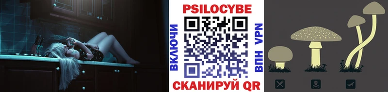 Галлюциногенные грибы ЛСД  блэк спрут сайт  Адыгейск 